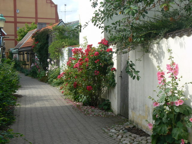 P1140814.JPG